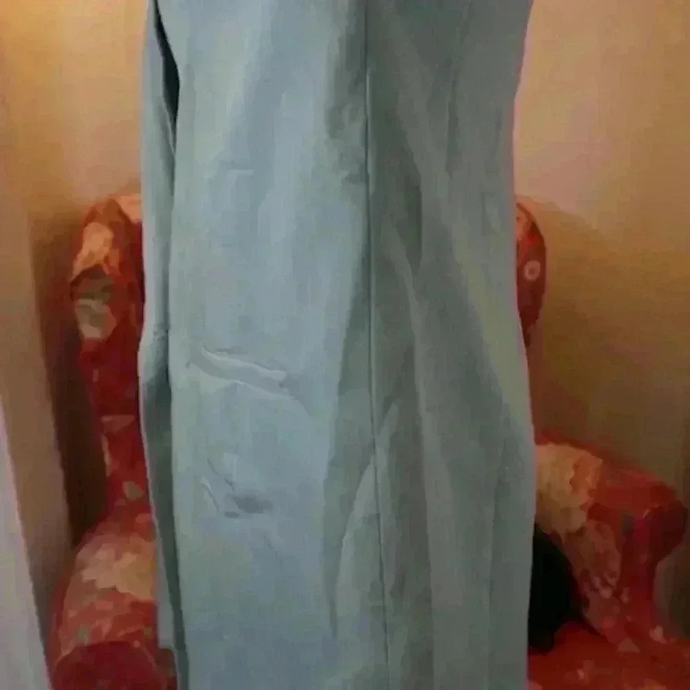 Petal & Pup Bridget Oversized Blazer Jacket - Sage Mint Green, Size XL | NWT - Picture 9 of 14